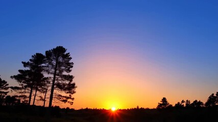 Double exposure of Asian woman and forest landscape blended with stunning sunset over pine trees. Nature connection concept for Earth Day, World Environment Day, or meditation retreats. - Powered by Adobe