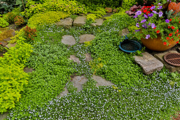 USA, Washington State, Sammamish. Steeping stones leading up to a bench with ground covers