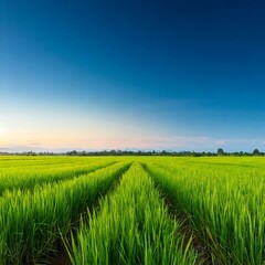 Fototapeta premium Generated image