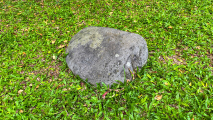 Big gray natural stone in the middle of green grass