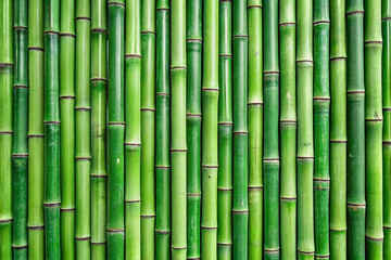 Lush Green Bamboo Wall Texture