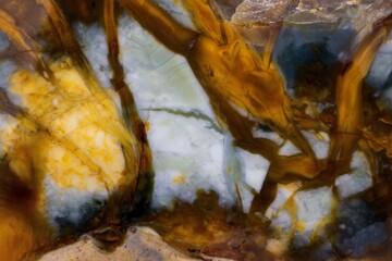 USA, Washington State, Sammamish. Close-up pattern design of agate