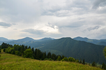 Fototapeta premium Peaceful view of a green mountainous region with surrounding forests under an overcast sky, perfect for representing tranquility and natural beauty. Carpathian Mountains, Ukraine