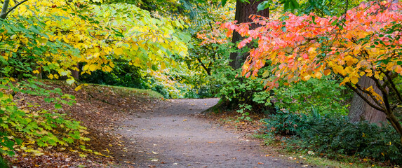 USA, Washington State, Seattle. Washington Park Arboretum in the fall with trail leading into autumn colored trees