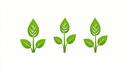 Fototapeta premium Three stylized green plants with leaves, representing nature, growth, or sustainability, set against a clean white background.