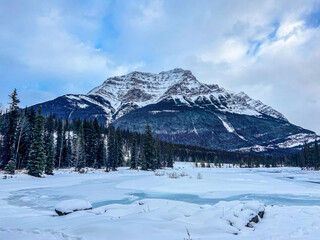 Fototapeta premium Winter in Jasper, Alberta, Canada – snow-covered mountains, frosty forests, and crisp blue skies. Sunlit trees, birds in flight, and ducks on icy waters capture the beauty of the season.