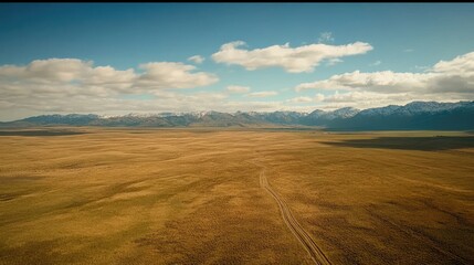 Expansive golden field leading to snowy mountain range under a cloudy blue sky