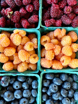Fresh Berries In Divided Cartons