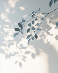 Blurred Shadow from Leaves on White Wall Minimal Abstract Background for Spring Summer Themes