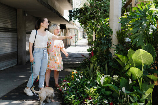 Mother and daughter observing numerous plants placed in the street.
