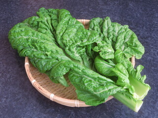 黒背景の博多かつを菜