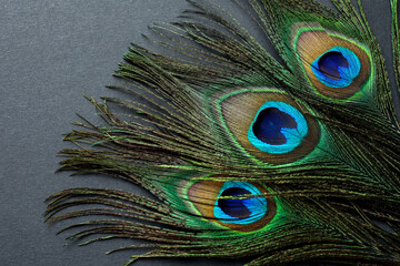 Obraz premium Many beautiful peacock feathers on black background, top view