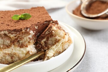 Delicious tiramisu with mint on light table, closeup