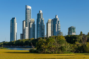 Humedal urbano, reserva ecológica Costanera Sur, Puerto Madero. Buenos Aires, Argentina.