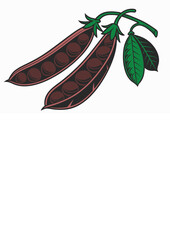 Peas black color line art