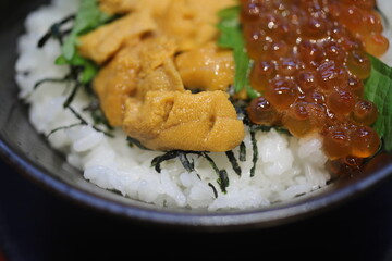 Uni.