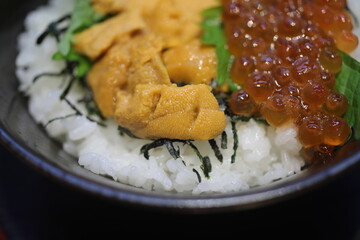 Uni.