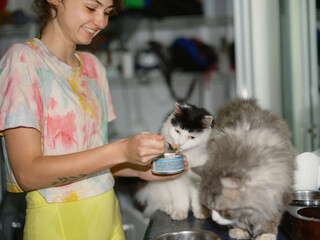Woman feeding two cats with canned food 