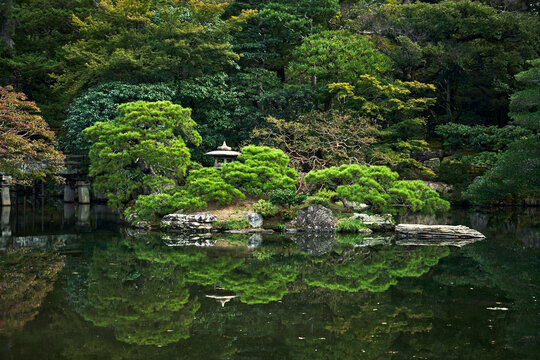 Trees turning colour in a garden.