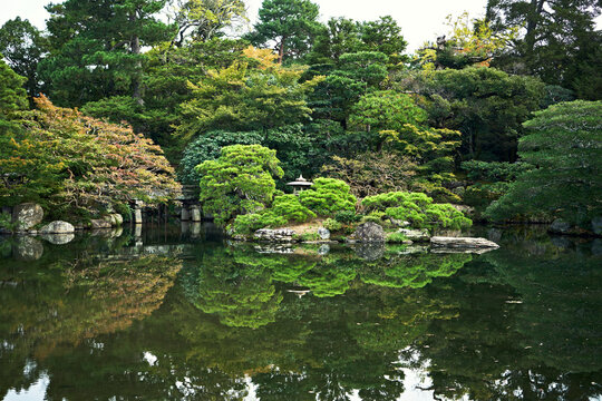 The quiet space of a Japanese garden.