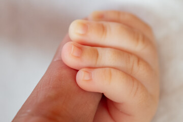 Close-up of a baby hand gently holding an adult finger.