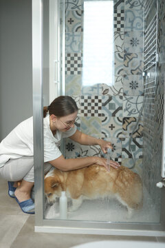 Side view of smiling young woman washing her dog's coat in shower