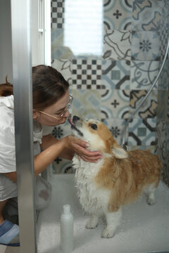 Foxy dog kissing its female owner while being washed in shower cabin