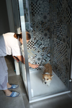 Woman in home wear and slippers washing her dog's fur in shower