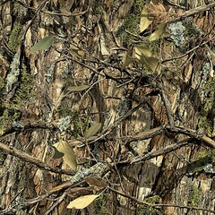 Mossy Oak Tree Hunting Camouflage Seamless Pattern Texture
