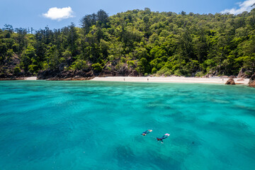 Snorkelling Mantaray Bay Hook Island in the Whitsundays