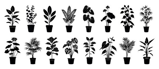 Fototapeta premium Silhouettes of various potted plants, isolated vector set