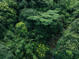 Aerial view of beautiful tropical forest mountain landscape in summer