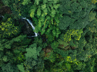 Aerial view of beautiful tropical forest mountain landscape in summer