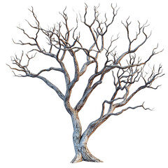 Fototapeta premium Winter tree, barren branches, stark landscape, nature photography, website background isolated on transparent or white background. Generative ai