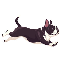 Obraz premium Bulldog playing bulldog illustration cartoon vector