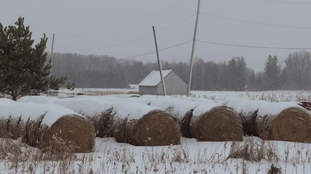 A farm house in a snowy field