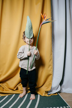 A Child Plays With A Tropical Flower