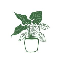 Fototapeta premium Pot plant illustration leaves green vector
