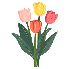 Fototapeta premium Tulip bouquet illustration flower art vector