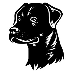 Fototapeta premium Collection portrait dog animal canine illustration vector