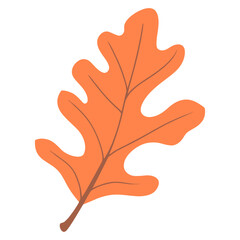 Peach orange oak leaf illustration autumn fall vector