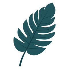 Fototapeta premium Tropical leaves leaf illustration design vector