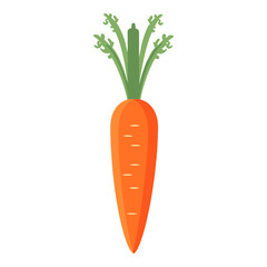 One carrot vector illustration vegetable produce vector
