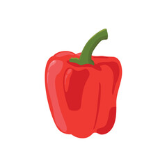 Paprika vegetable illustration isolated on white