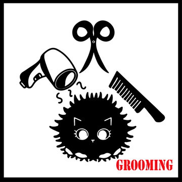 cat or pet grooming
