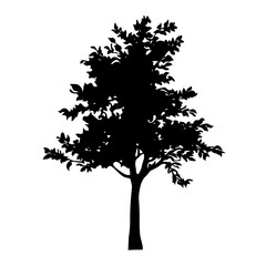 Apple tree silhouette illustration black vector