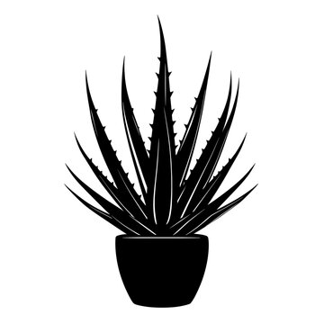black aloe vera plant in pot clip art preview