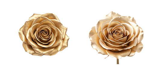 Gold Rose on White Background, Premium Flower, Luxury Floral Design
