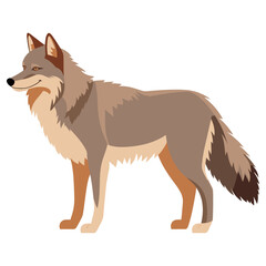 Fototapeta premium Wolf wolf illustration wildlife vector