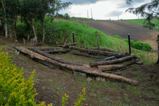 Improvised Log Chairs in Nature 